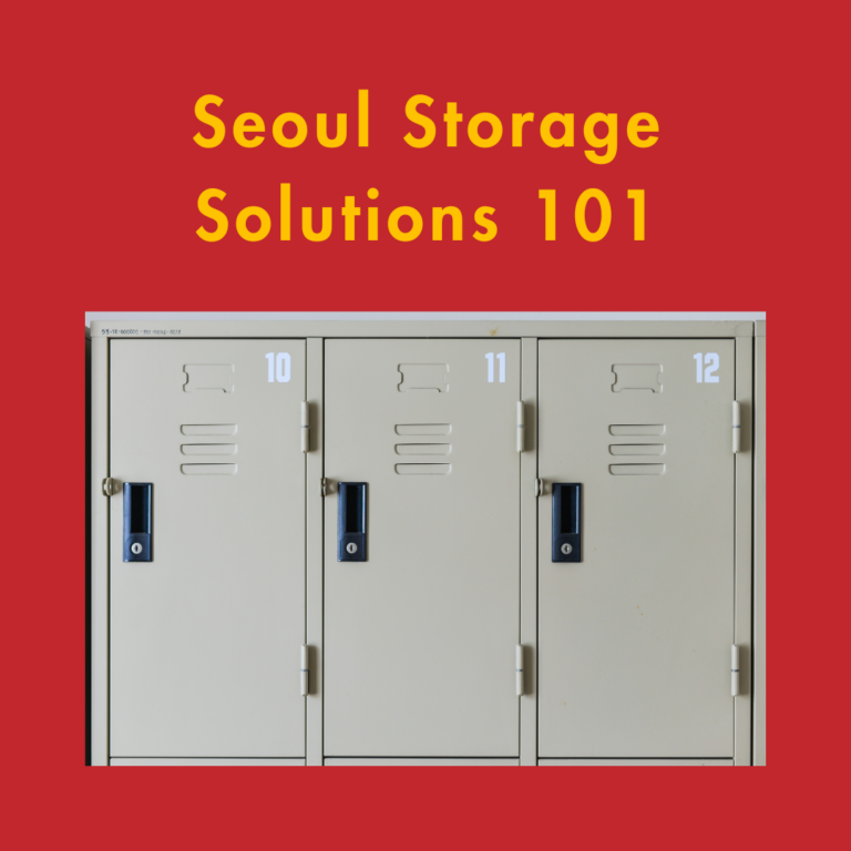 Seoul Storage Solutions 101