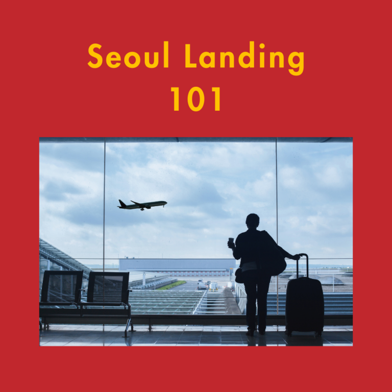 Seoul Landing 101