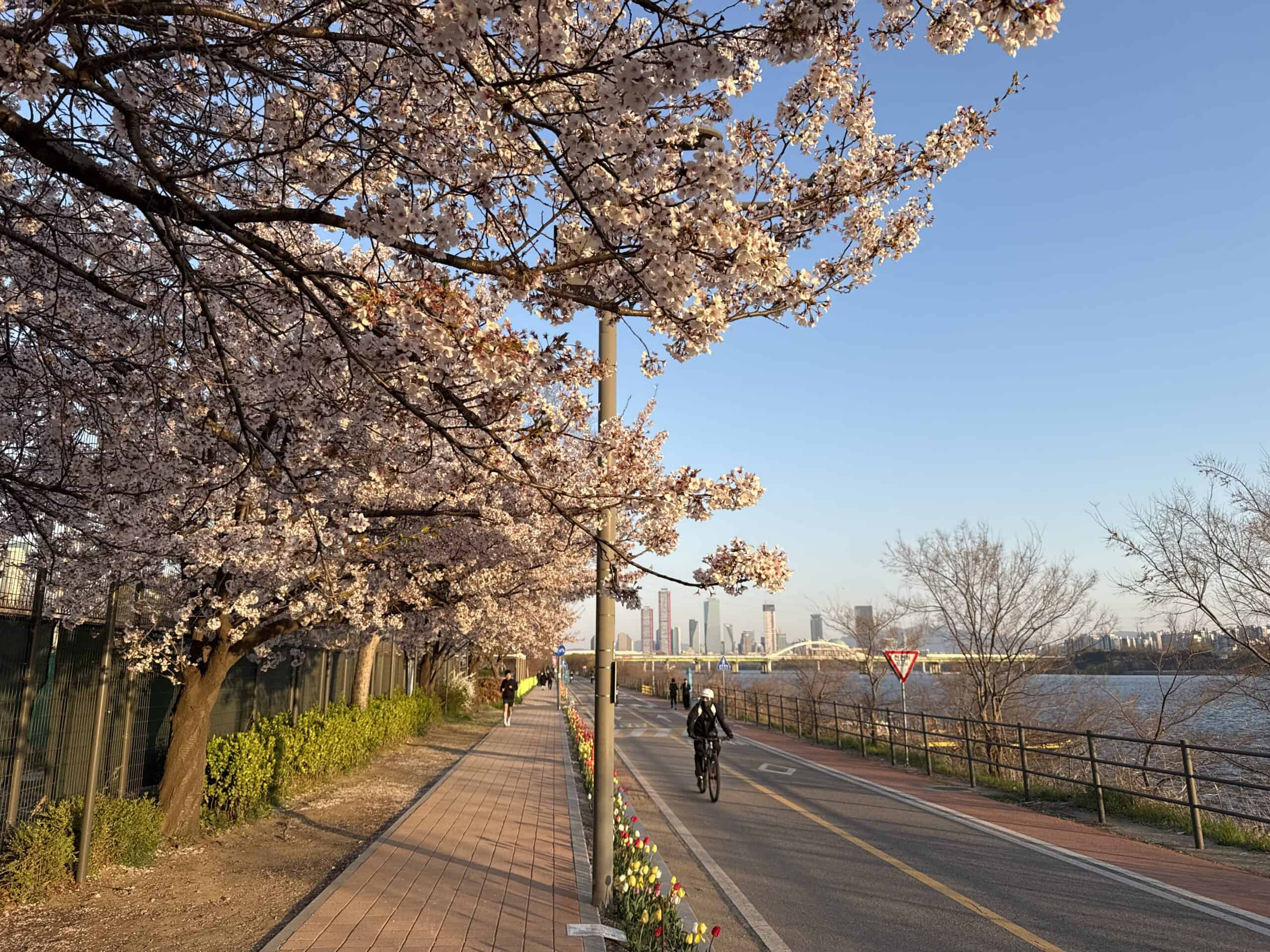 Han River